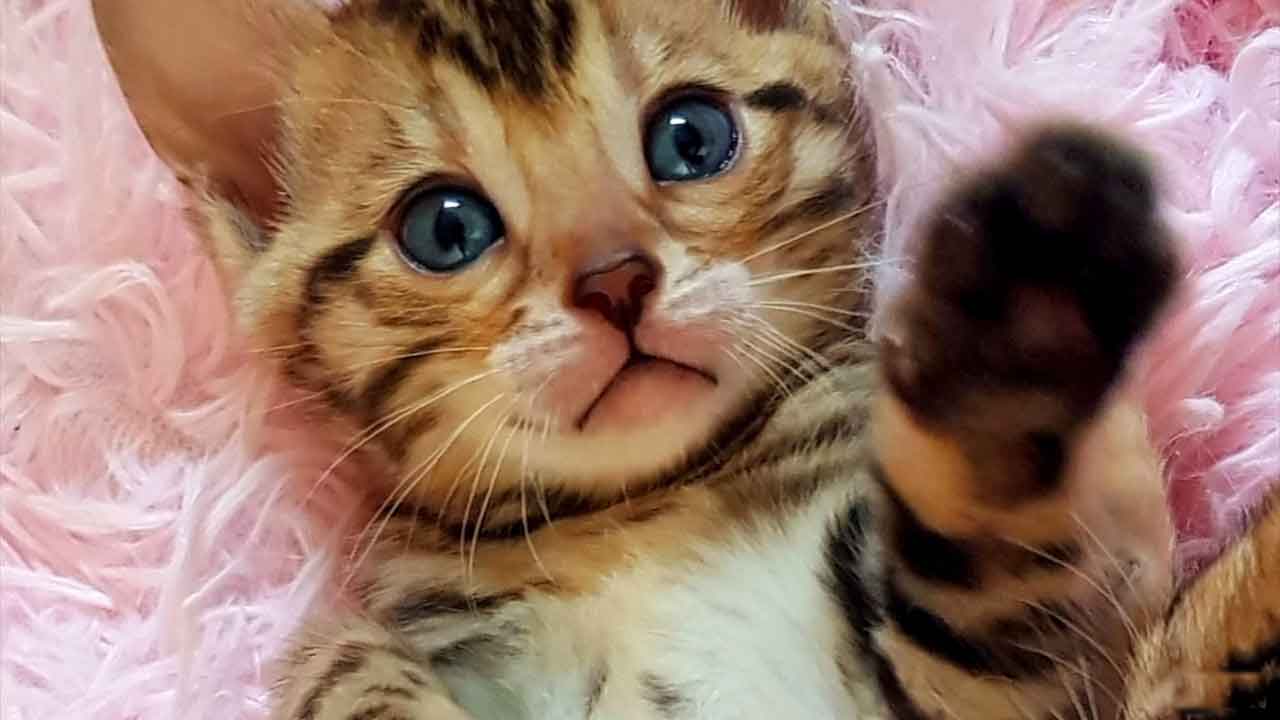 img_20240604_071353_600