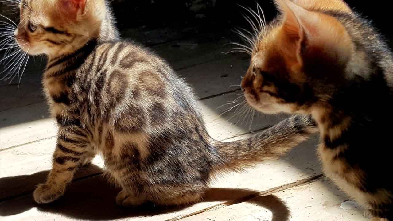 img_20240615_151641_565