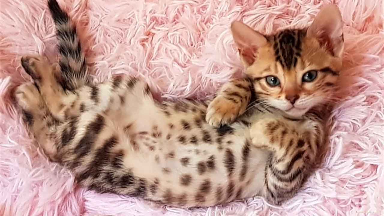 img_20240615_154334_720